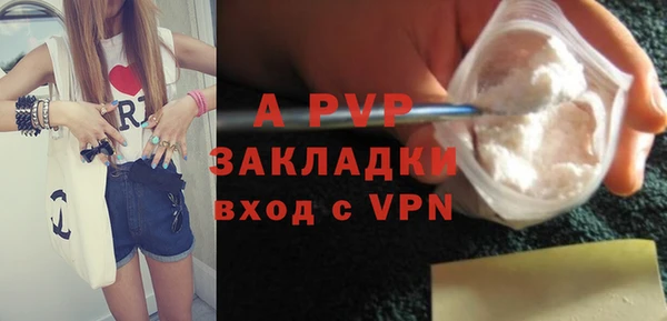 крисы Белоозёрский