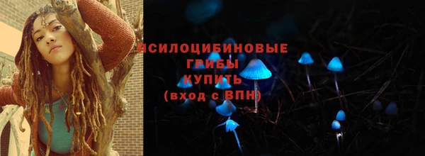крисы Белоозёрский