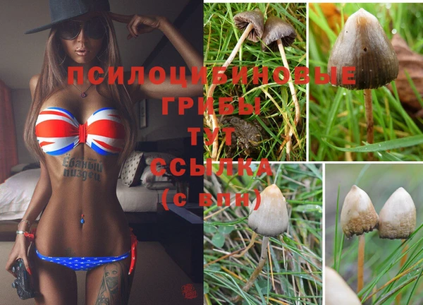 крисы Белоозёрский