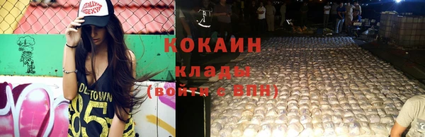 крисы Белоозёрский