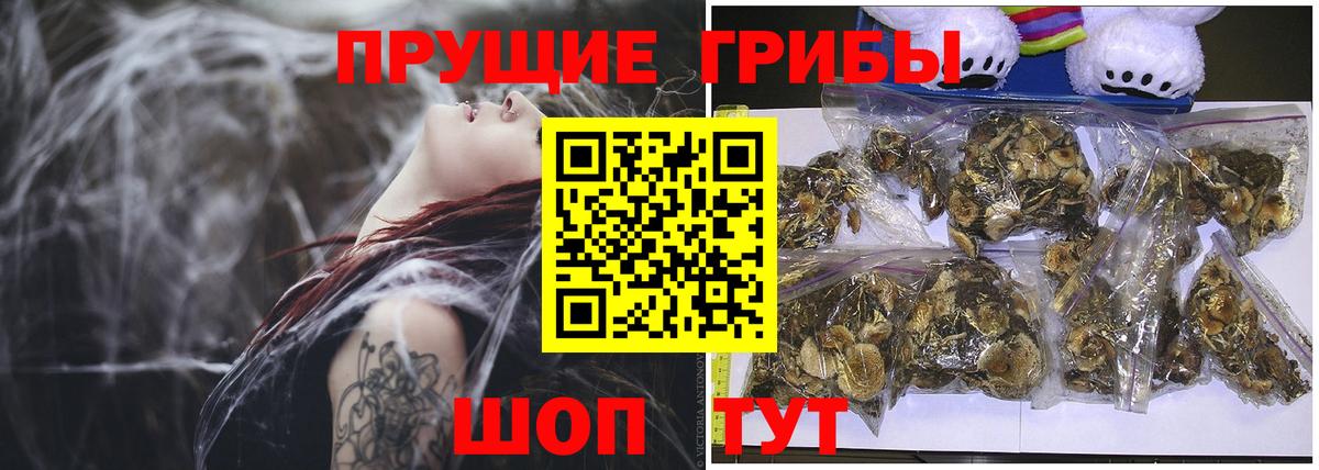Саяногорск  Псилоцибиновые грибы GOLDEN TEACHER  Вход с VPN 